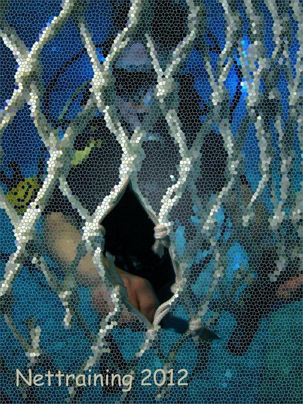 DSC00455 copy.jpg